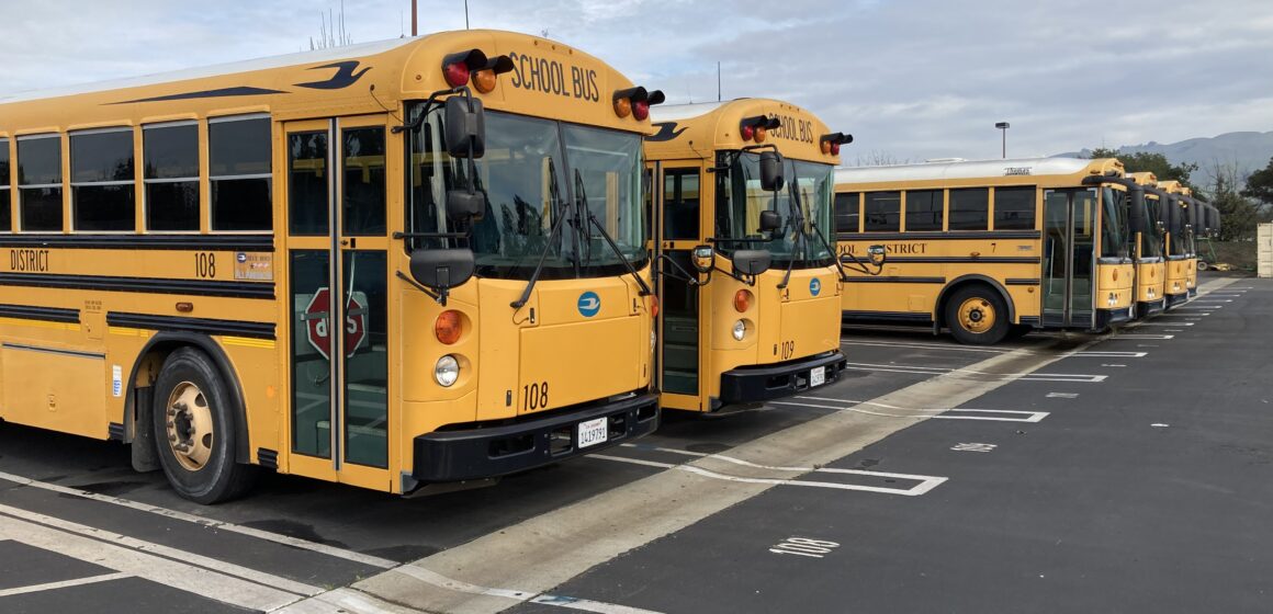 School buses in a parking lot