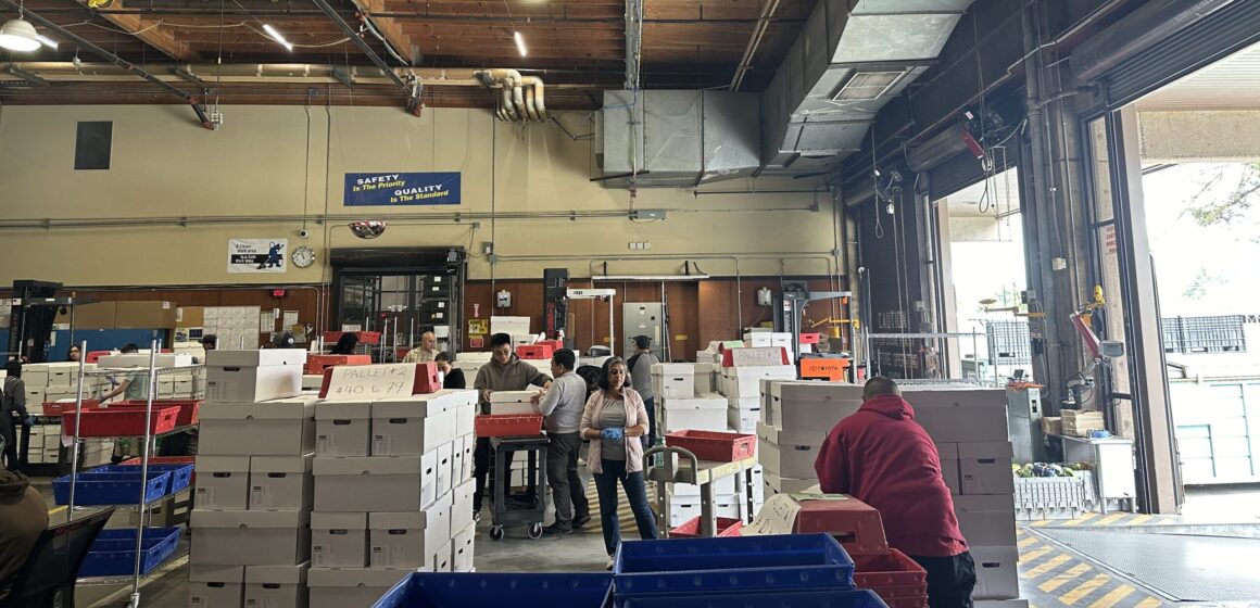 Santa Clara County election workers sort ballots in a warehouse for a recount effort