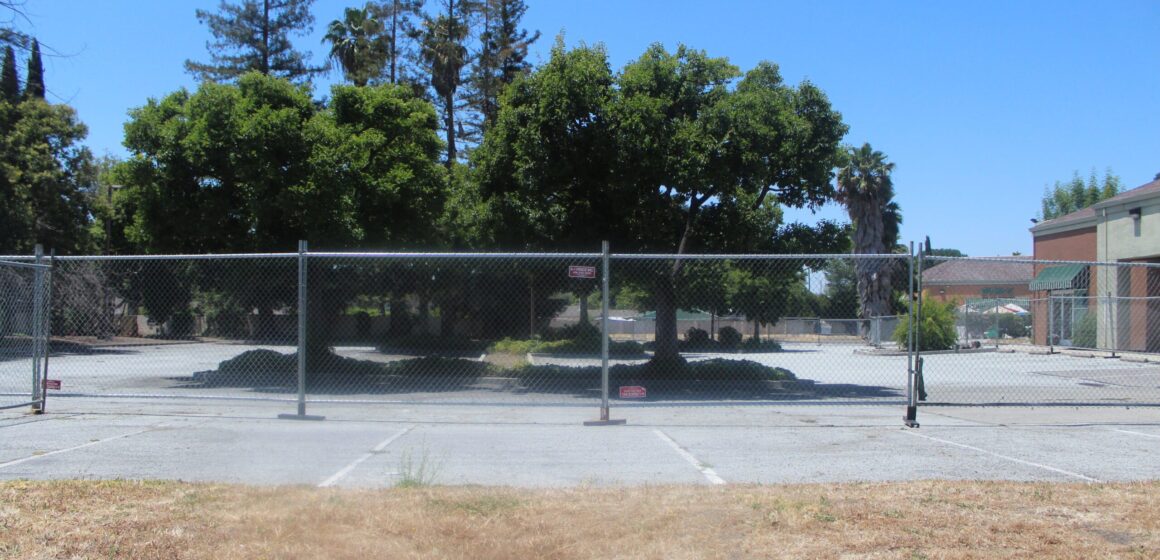 Trees in a parking lot fenced off for future development, with dry grass in the foreground