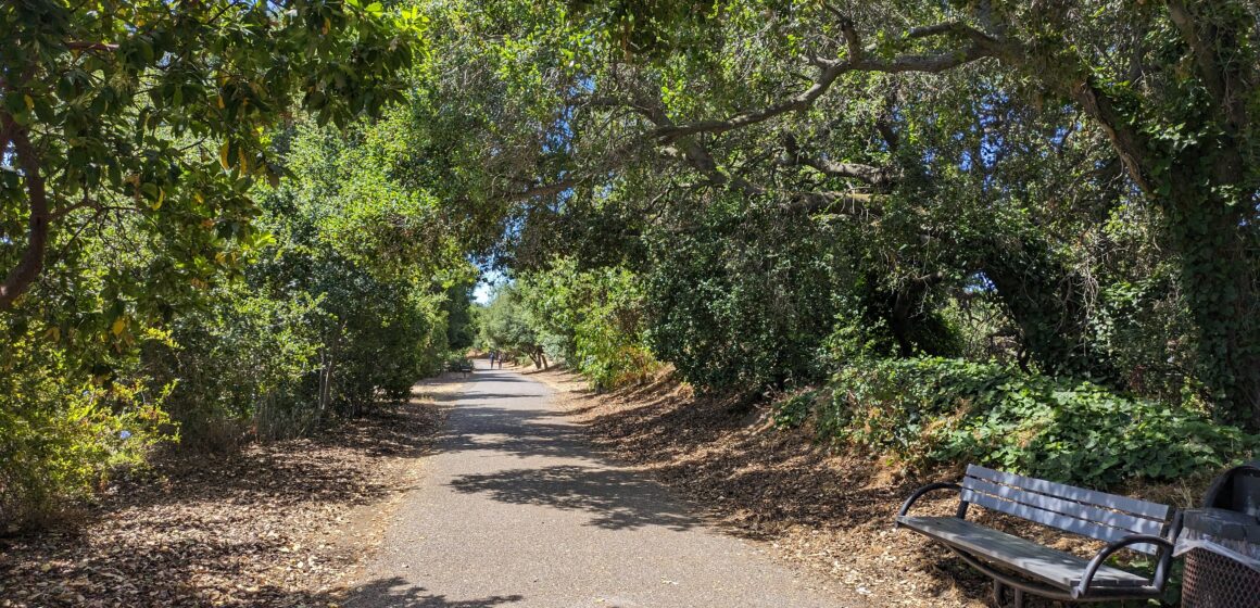 The San Tomas Aquino/Saratoga Creek Trail in Cupertino.